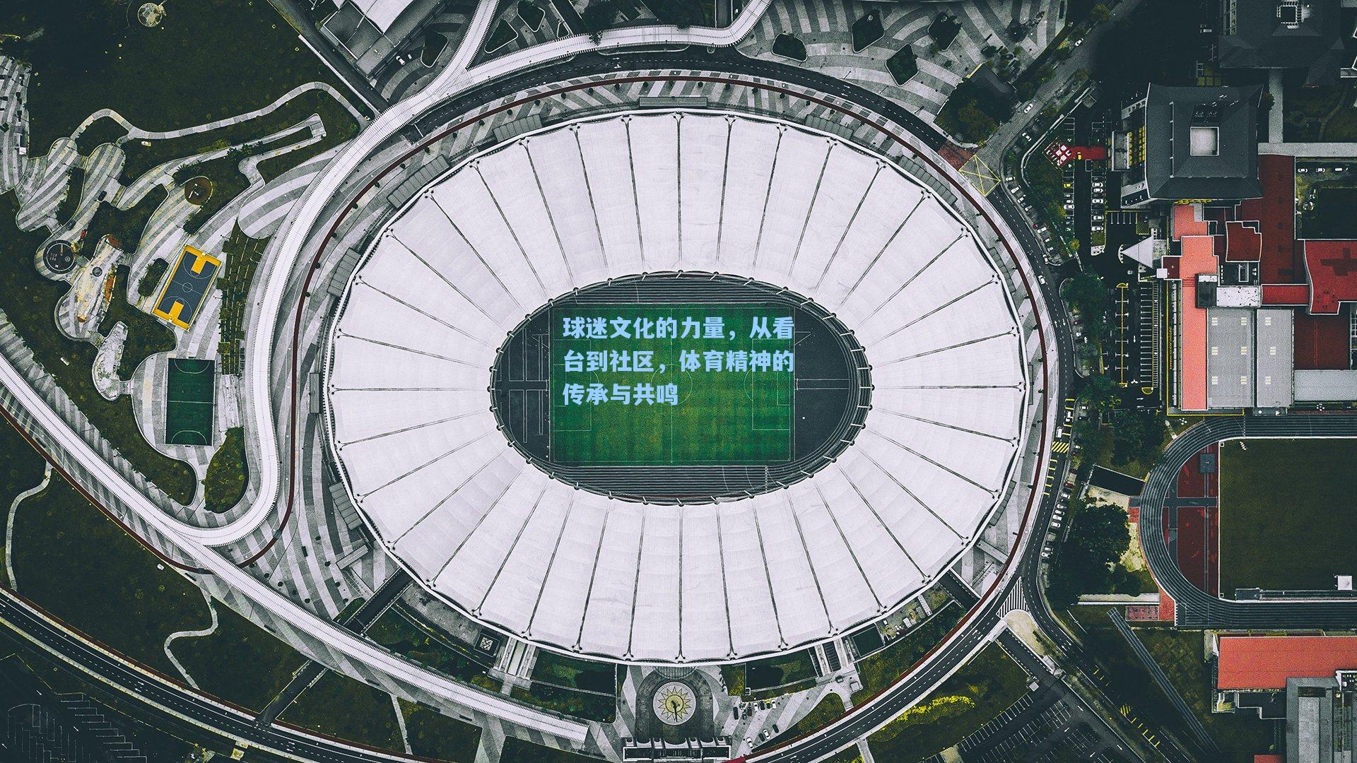 球迷文化的力量，从看台到社区，体育精神的传承与共鸣