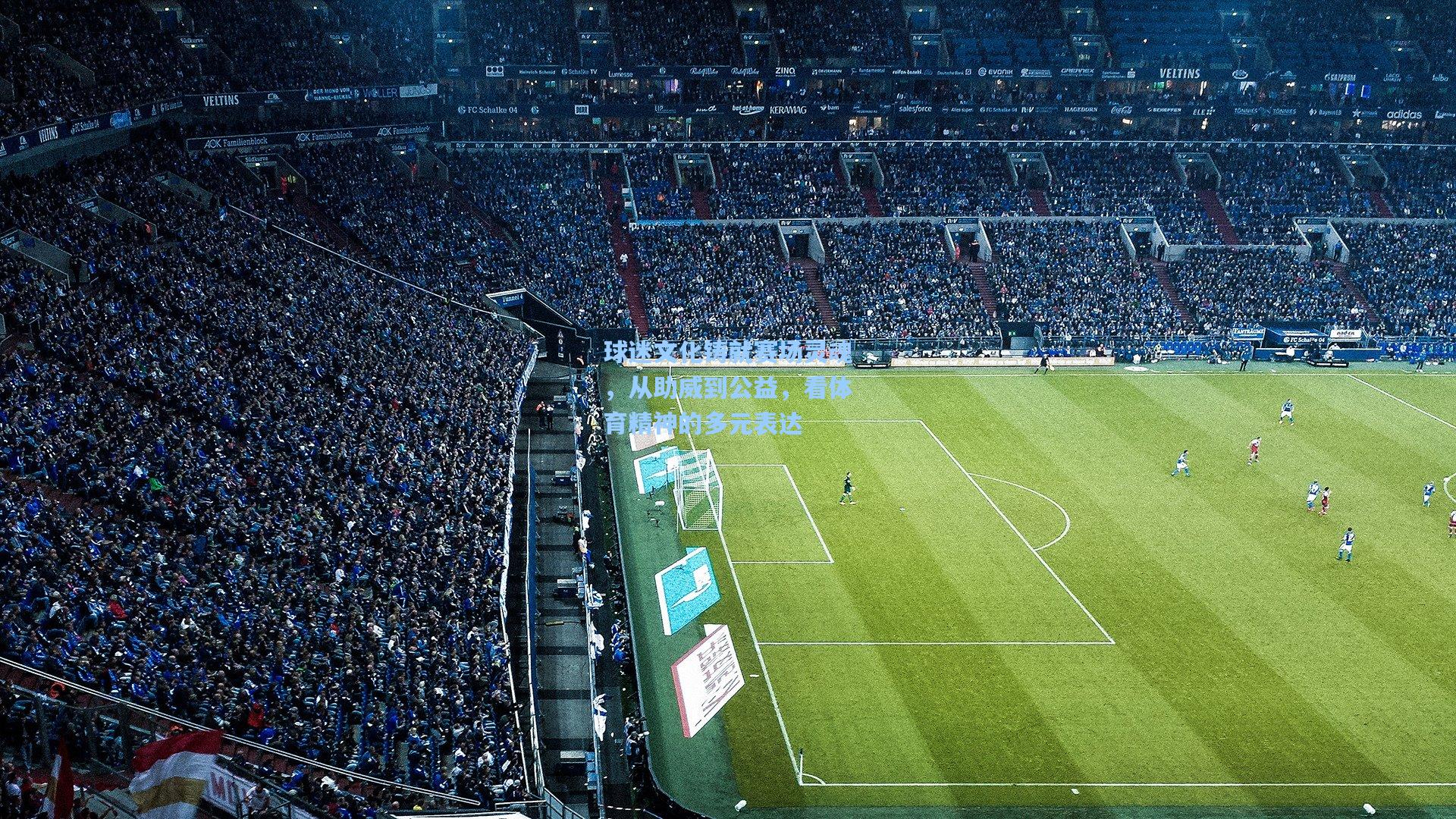 球迷文化铸就赛场灵魂，从助威到公益，看体育精神的多元表达