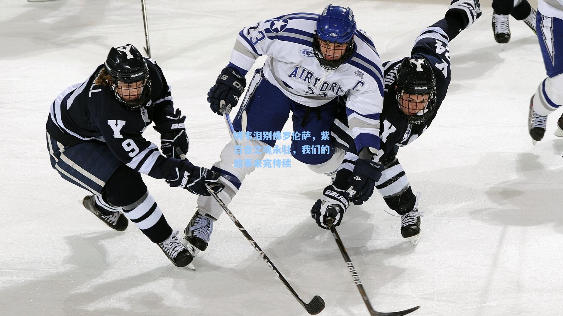 博韦泪别佛罗伦萨，紫百合之魂永驻，我们的故事未完待续